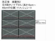 枠組み改正後措置２2.JPG